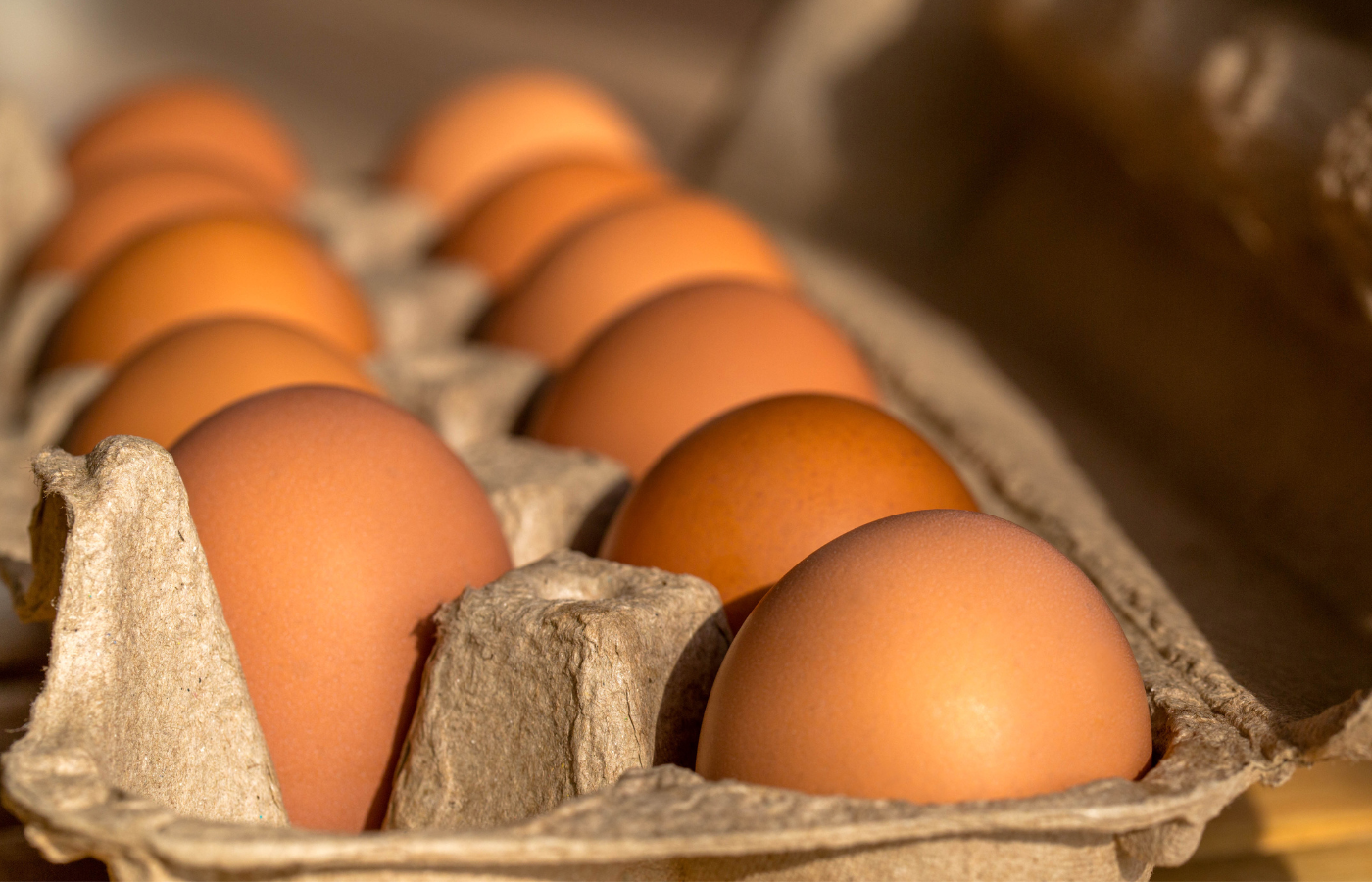 HUEVOS 4